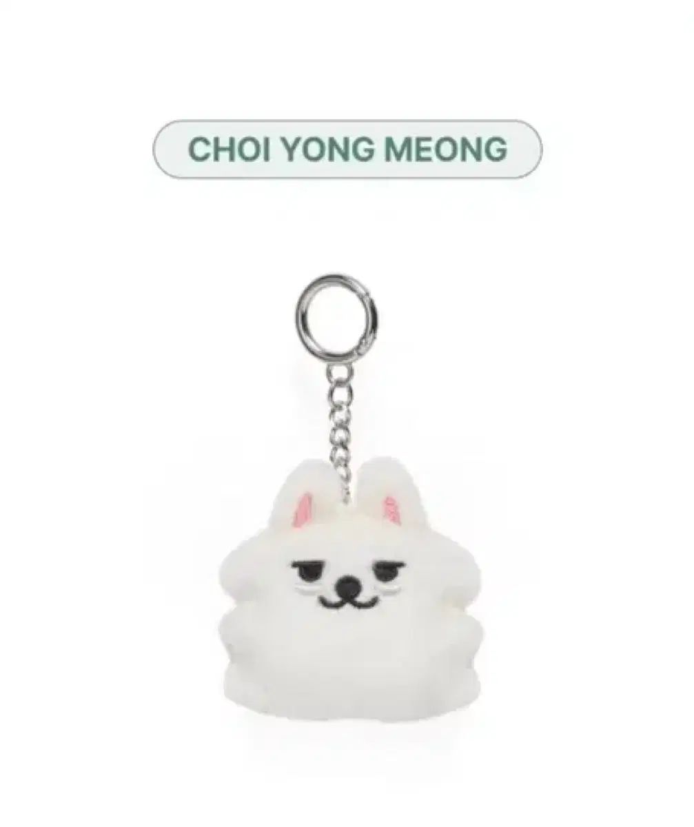 TOMORROW X TOGETHER(TXT) 뿔바투 최용멍 スビン FACE キーホルダー 未