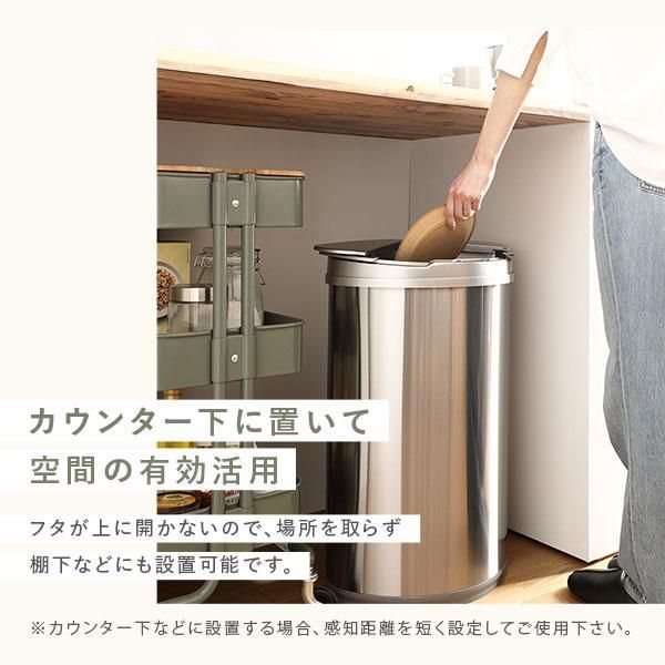 ゴミ箱 ダストボックス 約幅42cm 47L 大容量 横開き ステンレス 自動