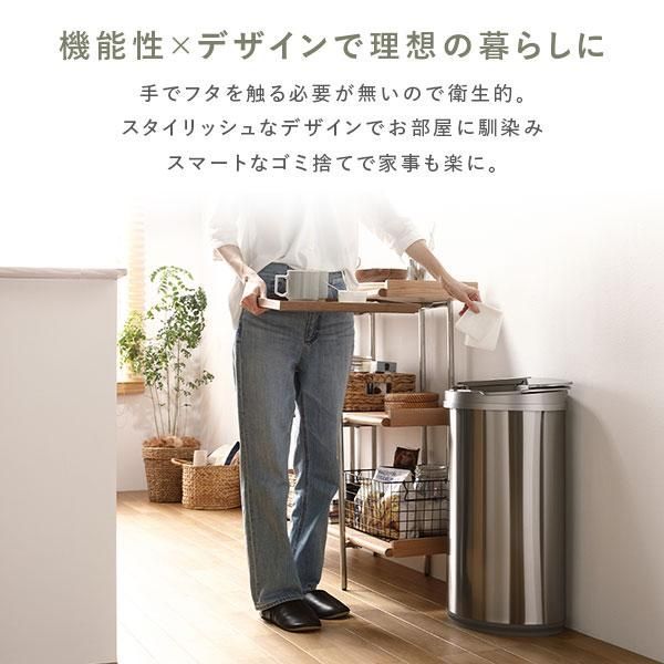 ゴミ箱 ダストボックス 約幅42cm 47L 大容量 横開き ステンレス 自動