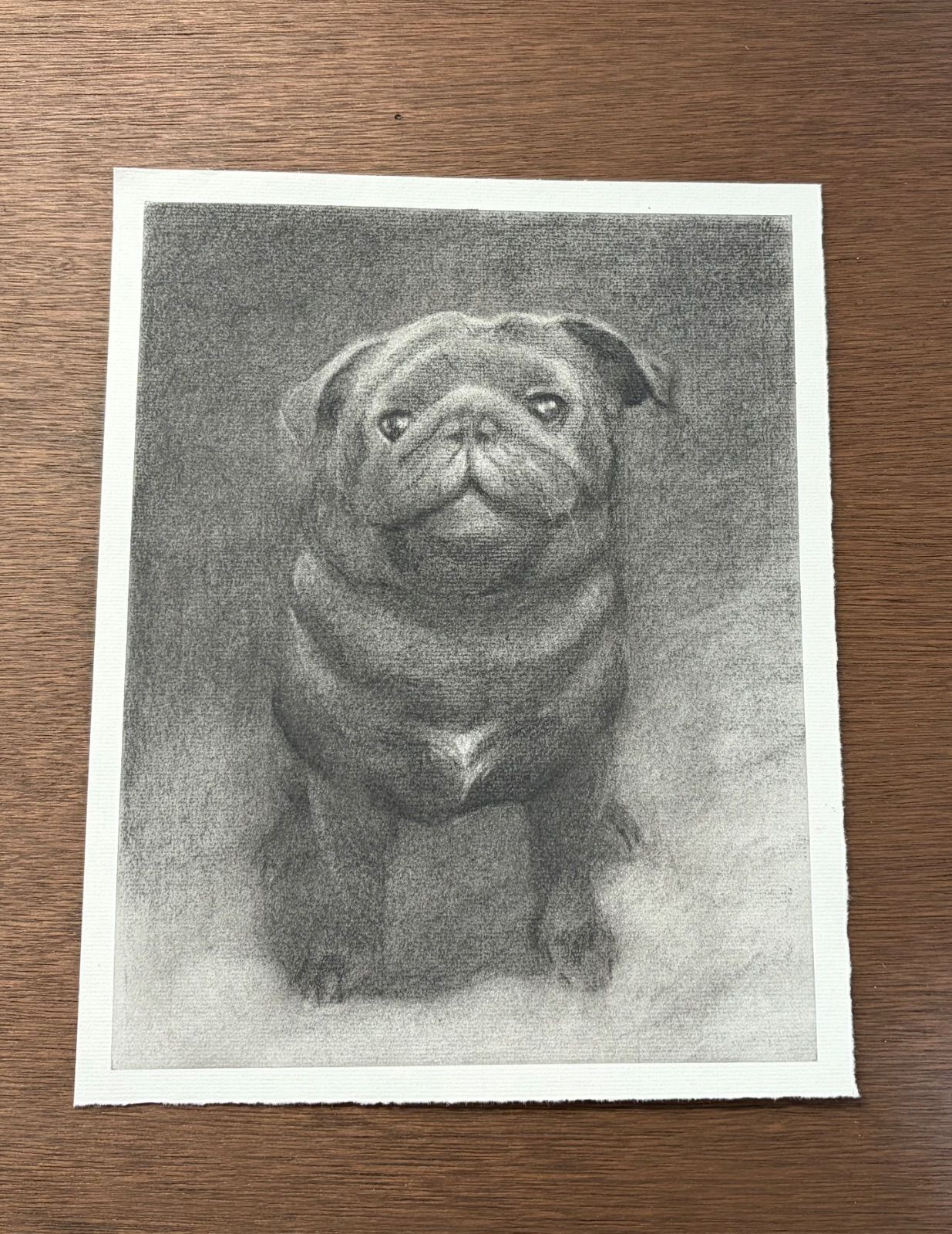 【ペット似顔絵】メモリアル肖像画 チャコール 白黒 原画 オーダー（犬/猫） A4
