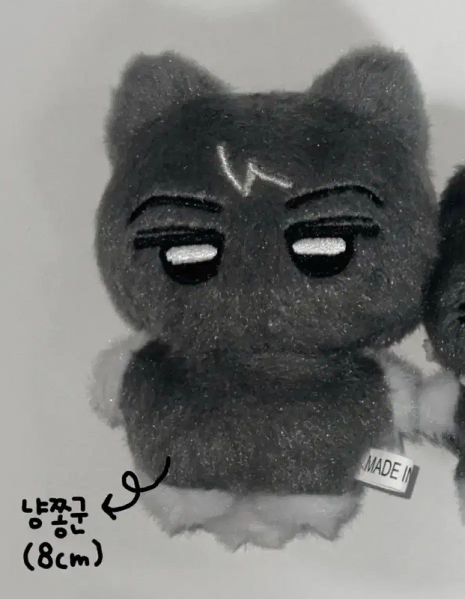 ニャンジョン軍 8cm ENHYPEN(エンハイプン・エナプ) ジェイ(JAY