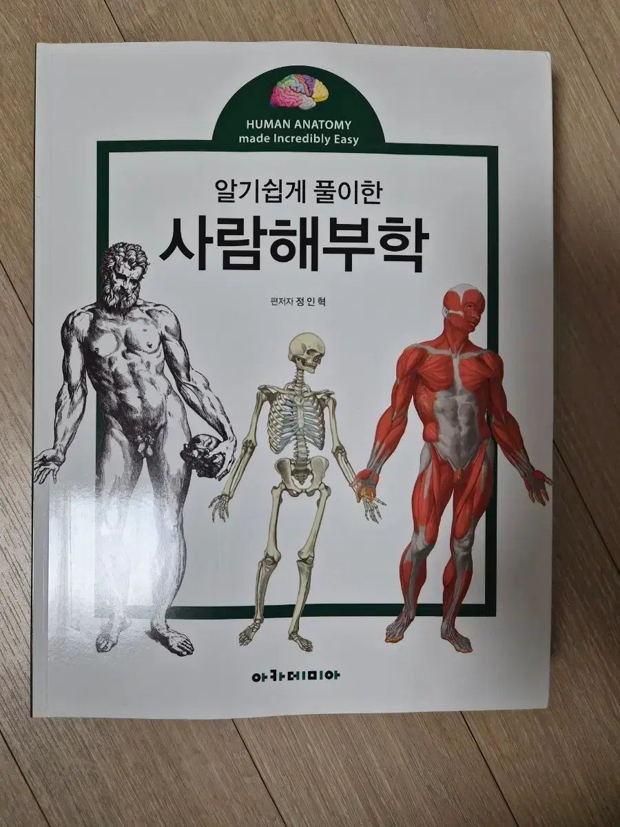 人体系統解剖学 人体系統解剖学 | 吉川文雄 |本 | 通販 |