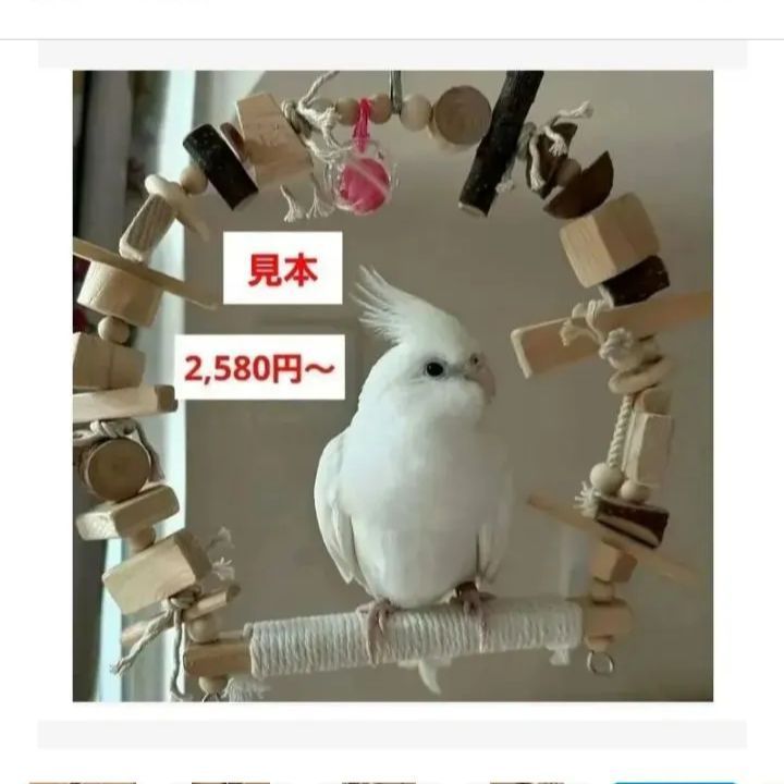 4 自然素材 ブランコ(大)インコ バードトイ 止まり木 木製 - メルカリ