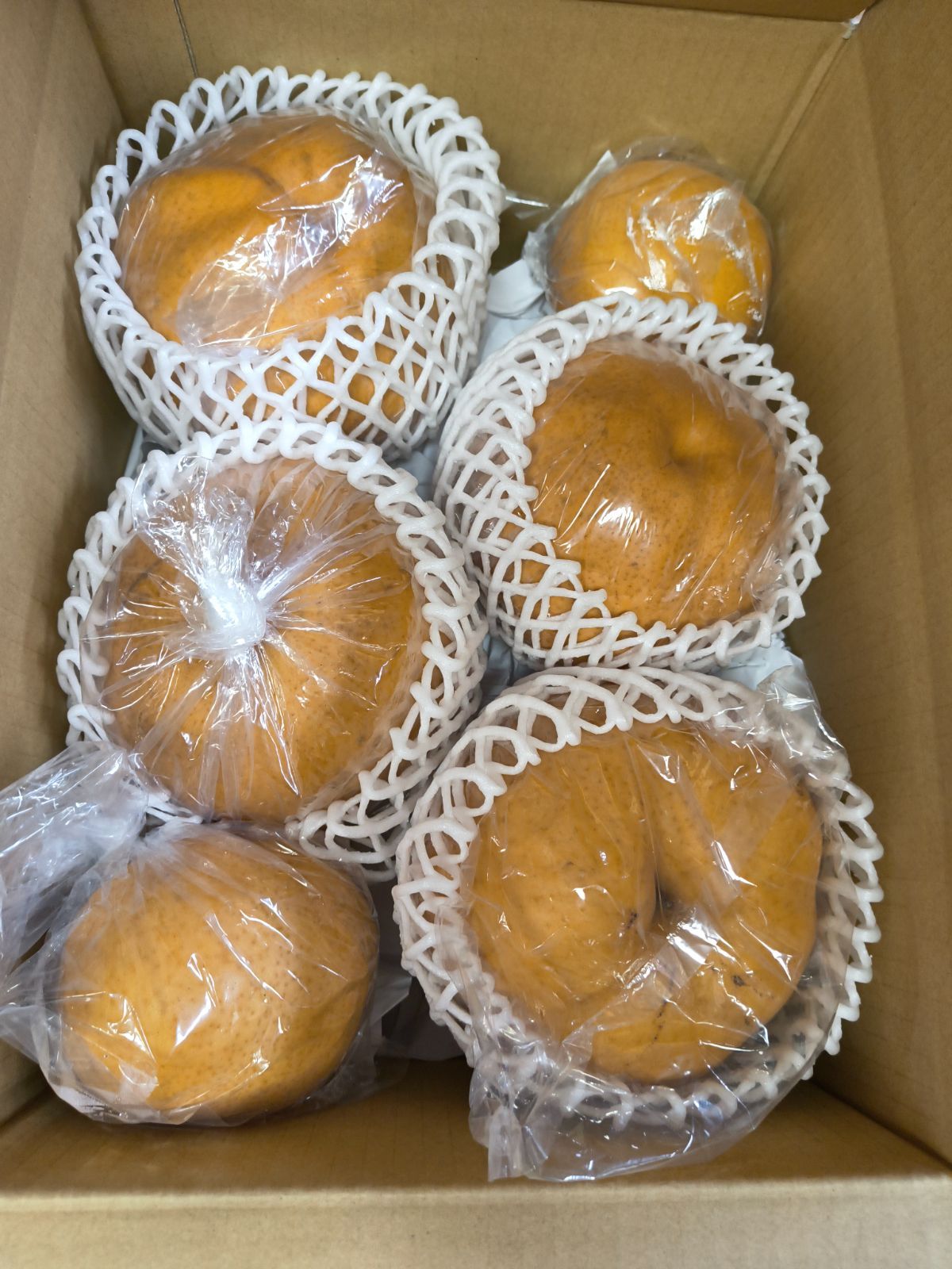 家庭用】福岡県産 愛宕梨 約4.9kg 4玉+2玉サービス - メルカリ