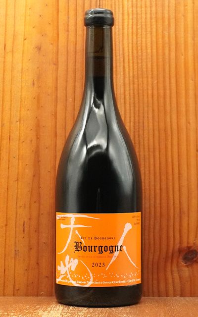 ブルゴーニュ ピノ ノワール (ルージュ) 2023 セラー出し品 ルー