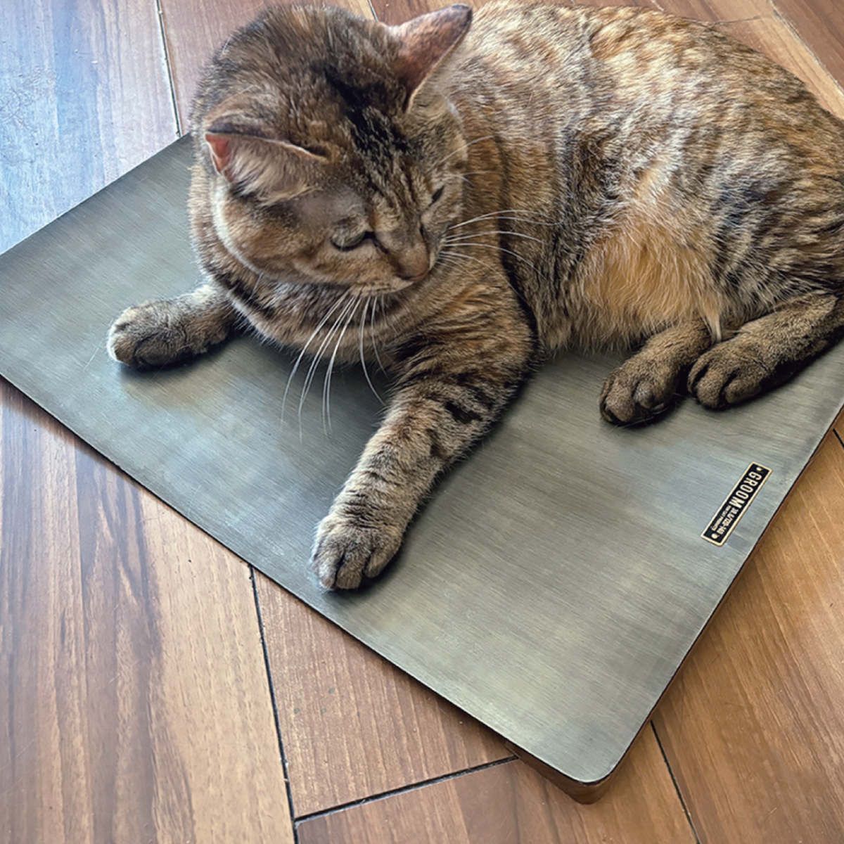 ペットベッド アルミひんやりベッド 夏 （ ペット ベッド ペット用 猫 犬 暑さ対策 おしゃれ ひんやり 冷たい 涼しい 夏用 ペットソファ ソファ シンプル インテリア ）)