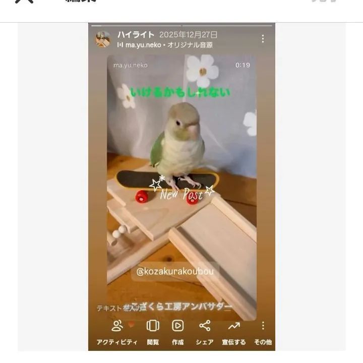 20⭐ 滑り台大サイズ‼ バードトイ インコ 文鳥 スケボー - メルカリ