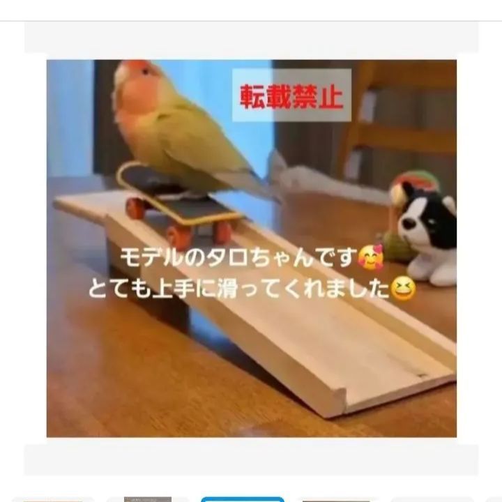 20⭐ 滑り台大サイズ‼ バードトイ インコ 文鳥 スケボー - メルカリ