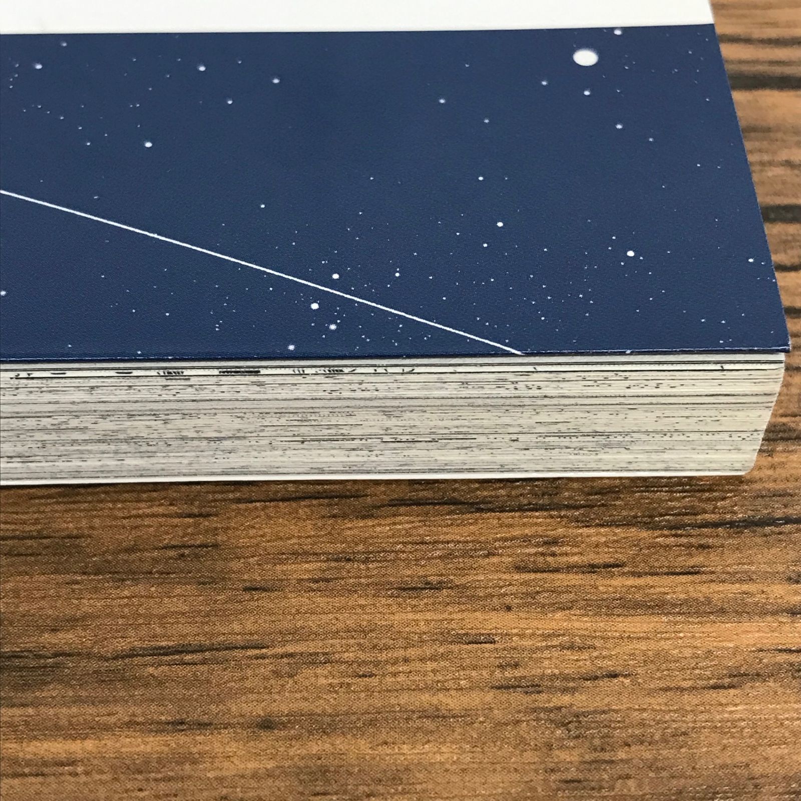 サムライ8 八丸伝 1巻/【作者】岸本斉史 大久保彰/GF-0226011188-YP