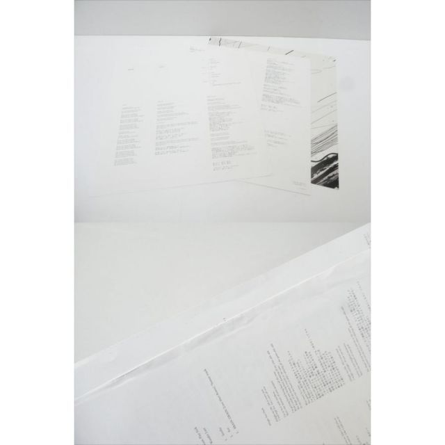 illion / P.Y.L 重量盤 HRLP047/8 2LP レコード △WV1846 - メルカリ