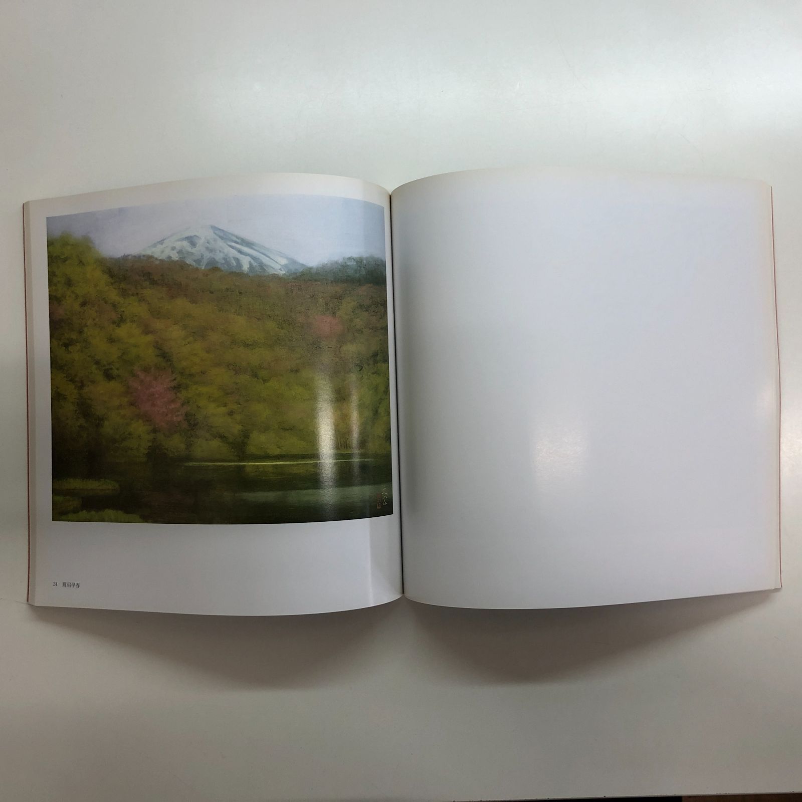 ◇[C]図録 高島屋美術部創設80年記念 幽玄讃歌 奥田元宋展 - メルカリ