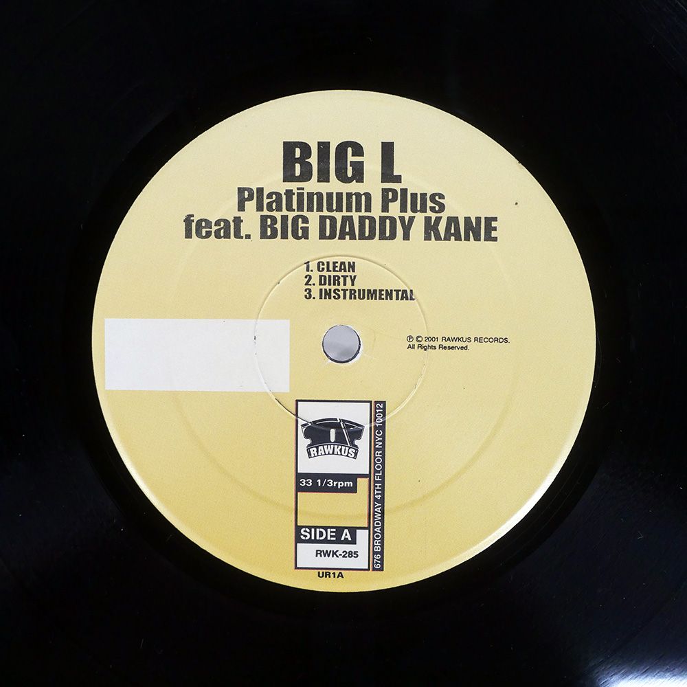 米 US盤 BIG L/PLATINUM PLUS/RAWKUS RWK285 12 - メルカリ