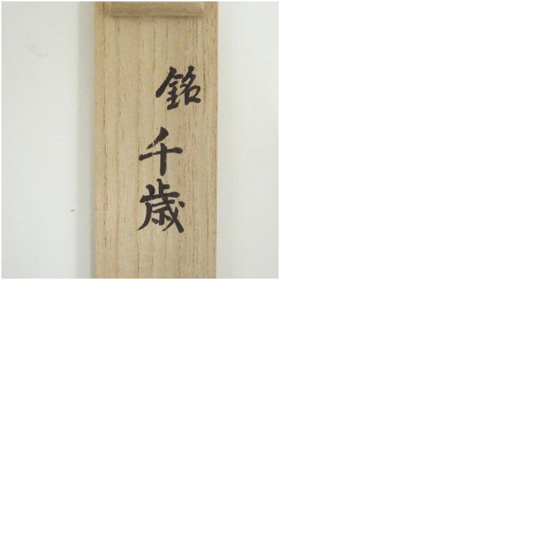 竹茶杓（銘：千歳）（大徳寺 森洞雲書付）（共箱） 茶道 茶道具