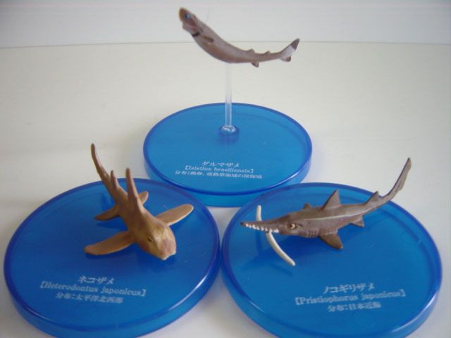 ♯Iti13AH不思議生物大百科大海の捕食者サメシークレット入全6種