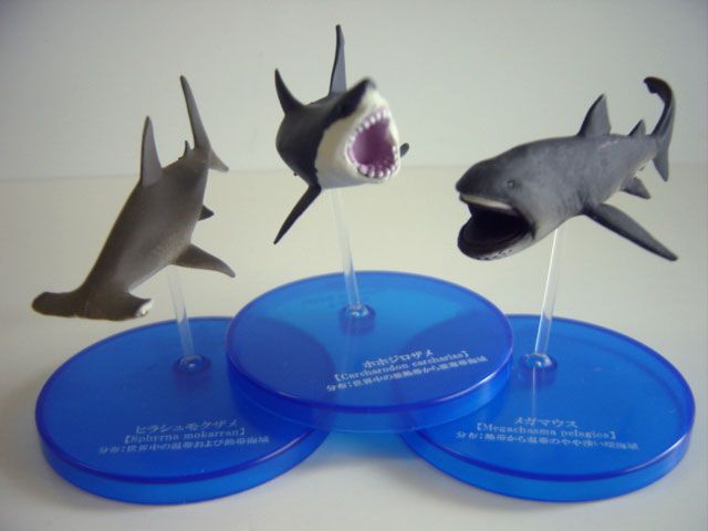 ♯Iti13AH不思議生物大百科大海の捕食者サメシークレット入全6種