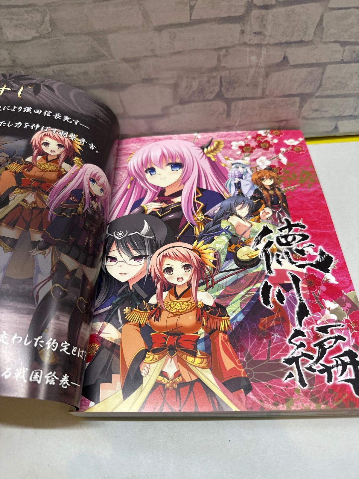 K2-39】△ 戦極姫4 戦国設定絵巻 中古 - メルカリ