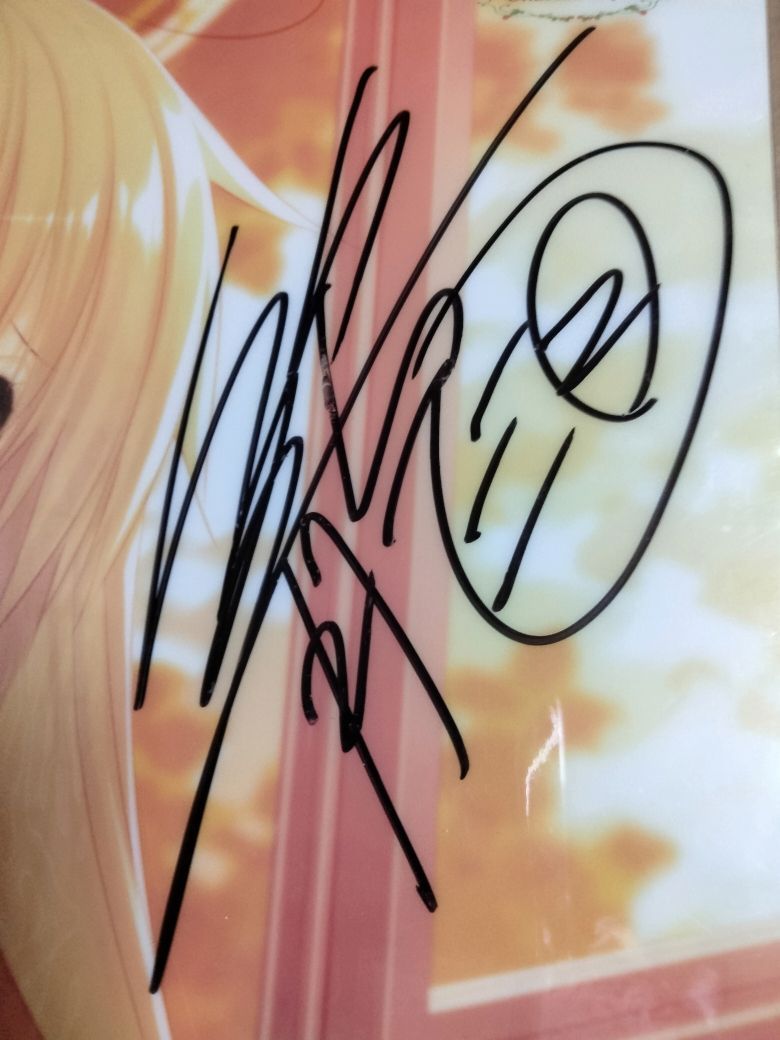 MO-00427 籠目 直筆サイン入り A3サイズイラストフィルム ピカット