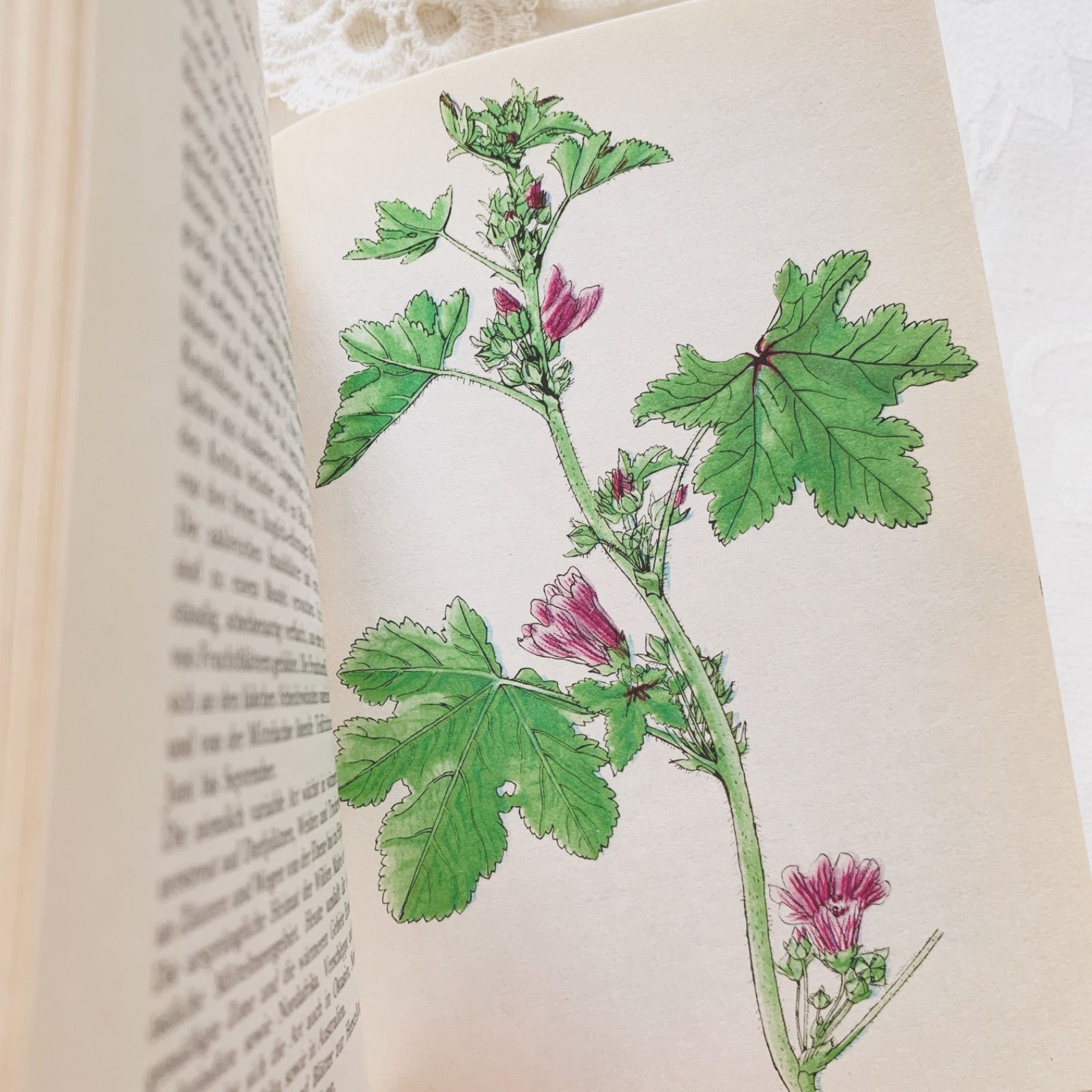 1977年 - チェコの画家カレル・スヴォリンスキー挿画 -絵本のような