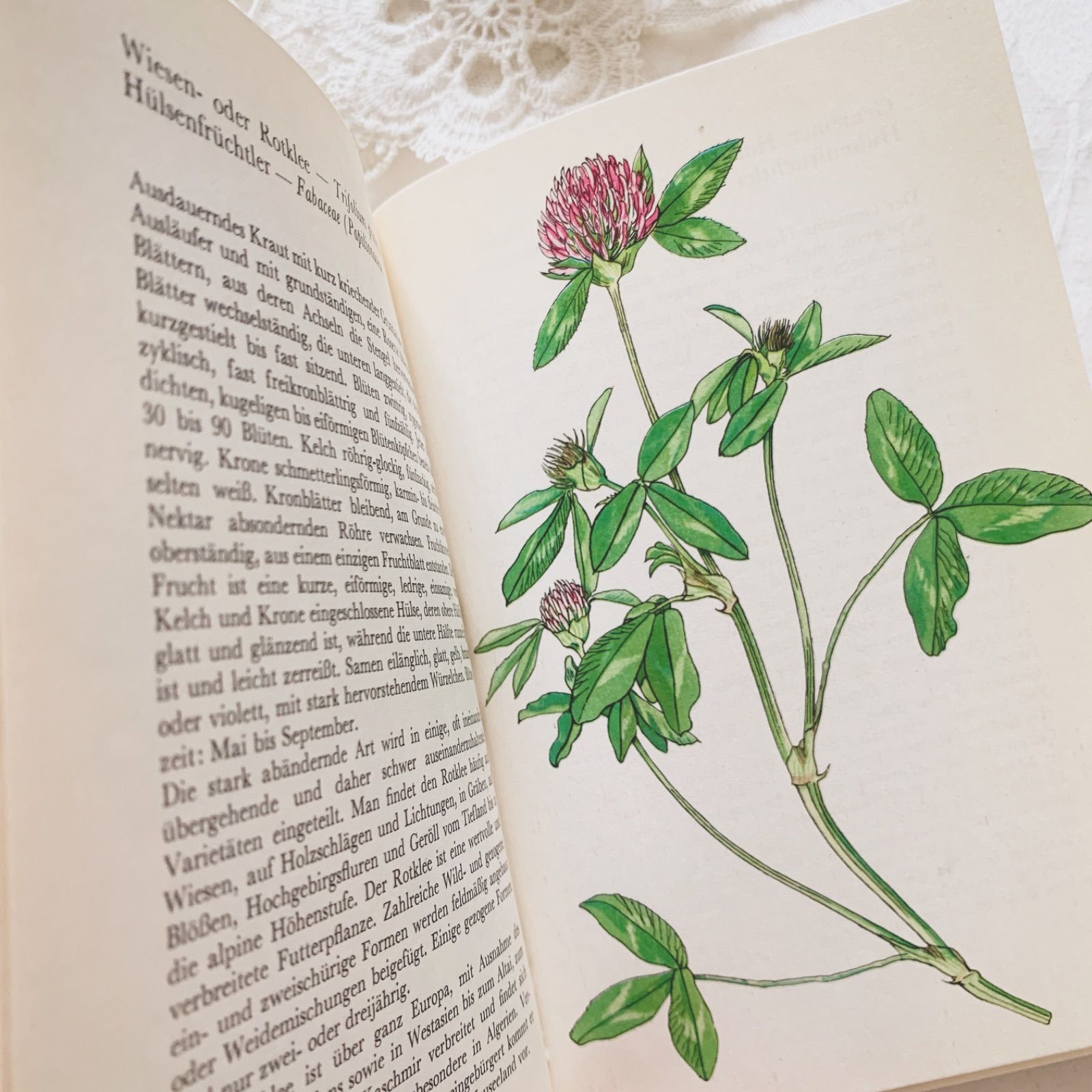 1977年 - チェコの画家カレル・スヴォリンスキー挿画 -絵本のような