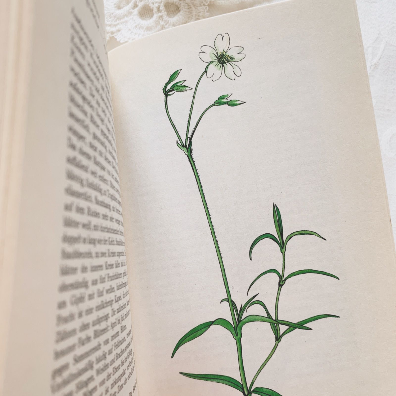 1977年 - チェコの画家カレル・スヴォリンスキー挿画 -絵本のような