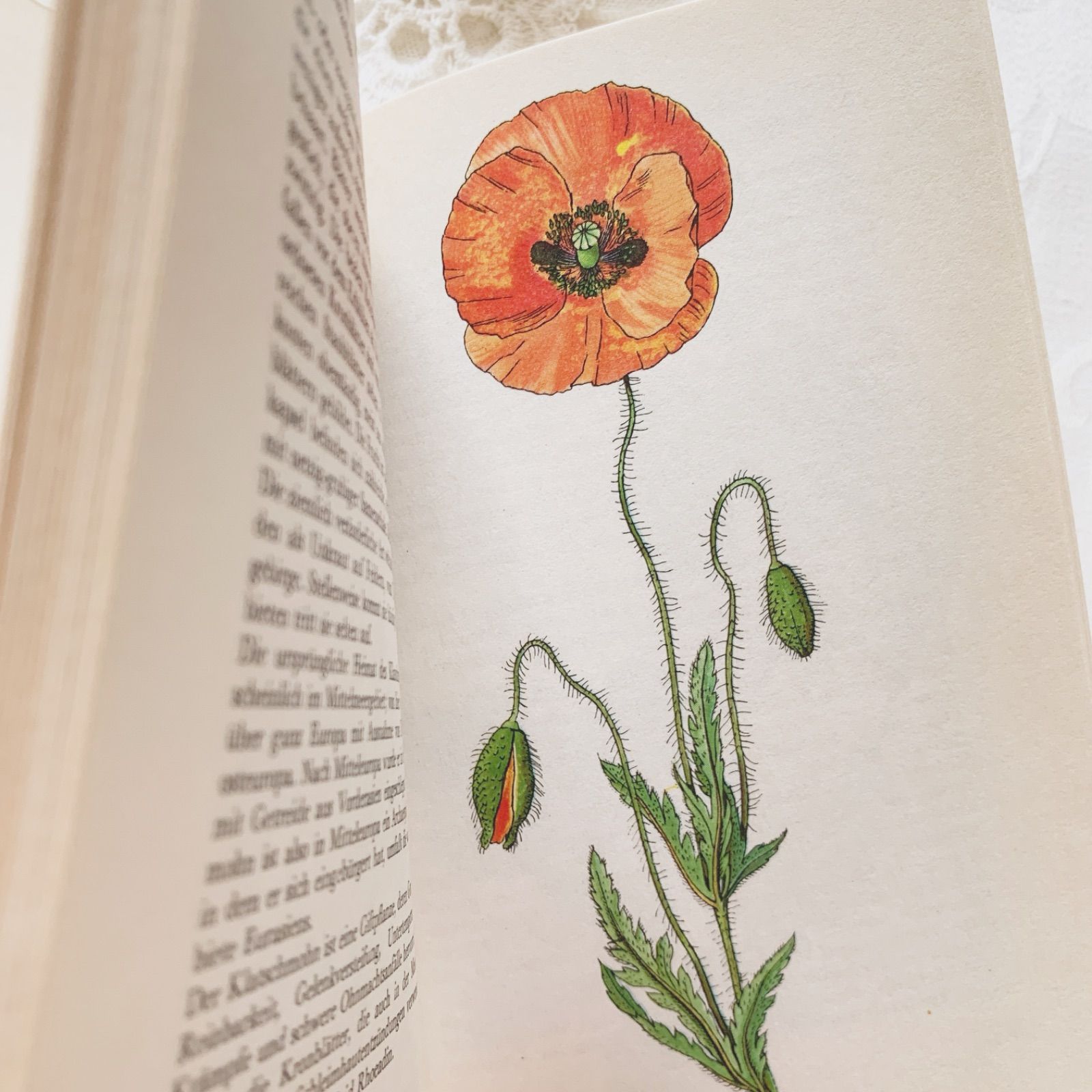 1977年 - チェコの画家カレル・スヴォリンスキー挿画 -絵本のような