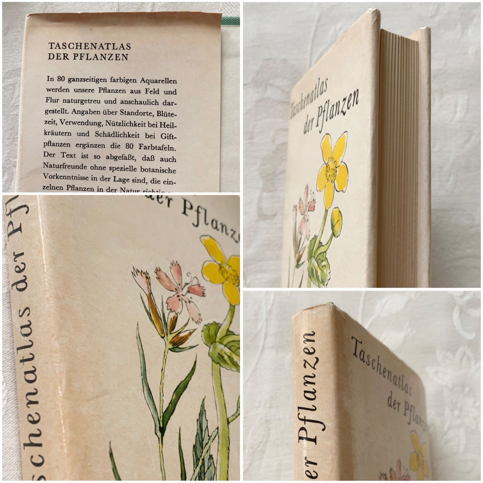 1977年 - チェコの画家カレル・スヴォリンスキー挿画 -絵本のような