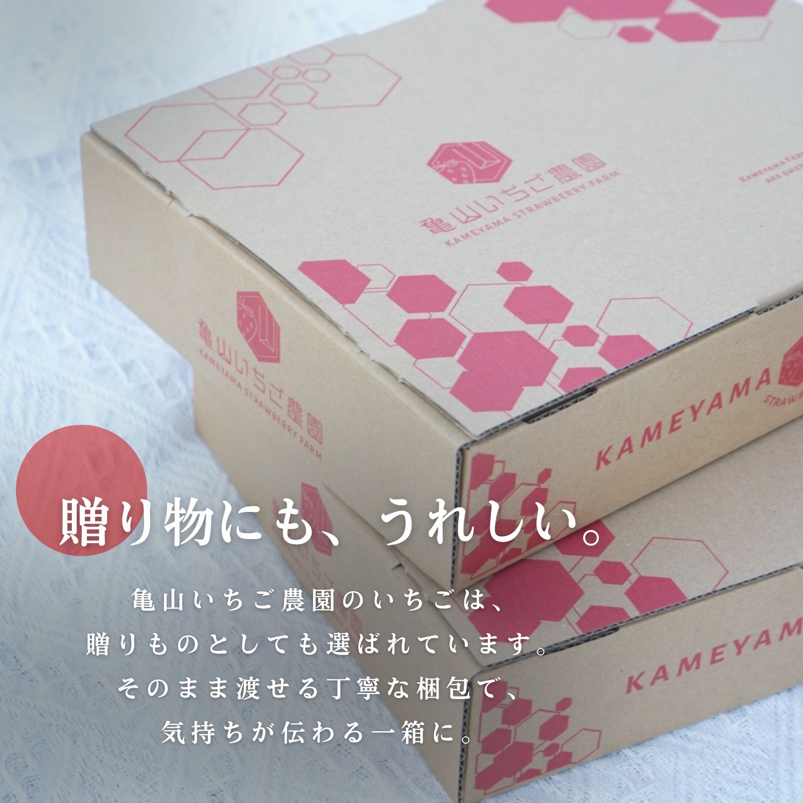 とちあいか 560g 栃木県産いちご 贈答用 - メルカリ