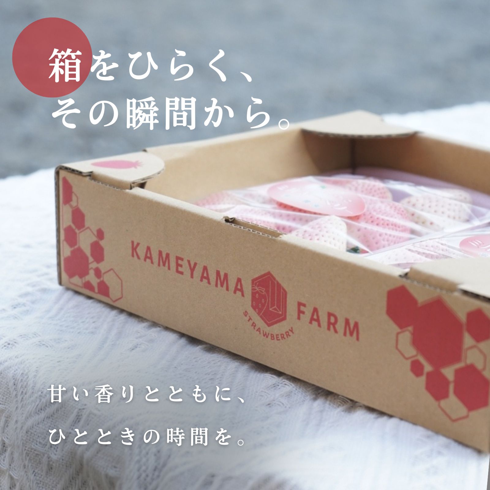 とちあいか 560g 栃木県産いちご 贈答用 - メルカリ