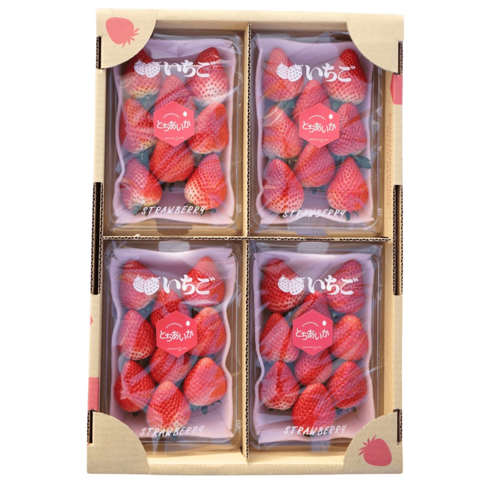 とちあいか 560g 栃木県産いちご 贈答用 - メルカリ