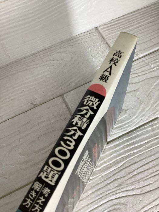 超稀少】高校A級微分積分300題 昇龍堂出版 小林善一 大学受験 高校数学