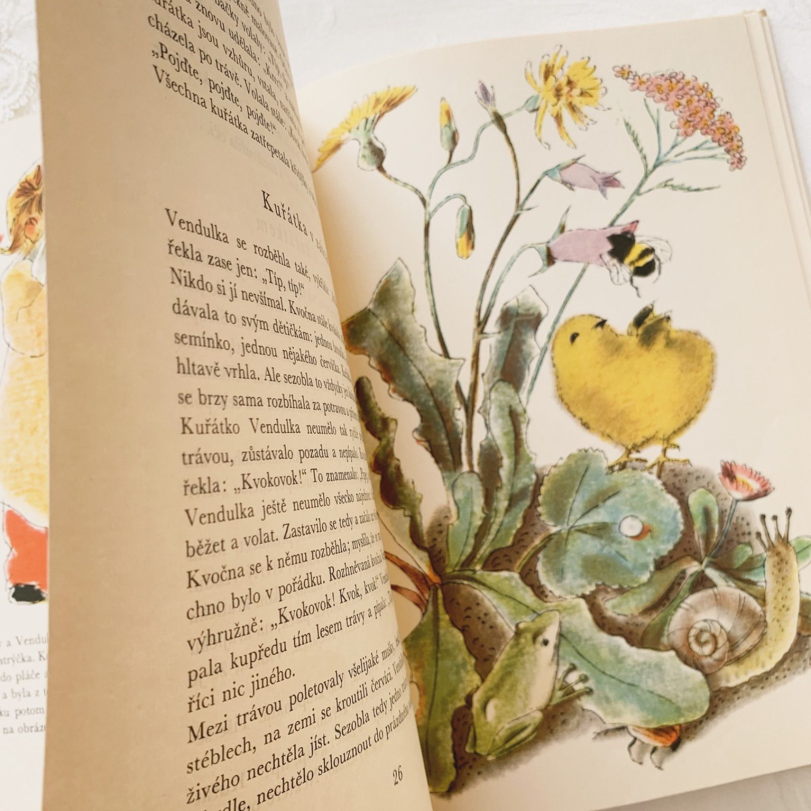 1960年 ビンテージ チェコ児童書 Vendulčinyヴェンドゥルカの木の実
