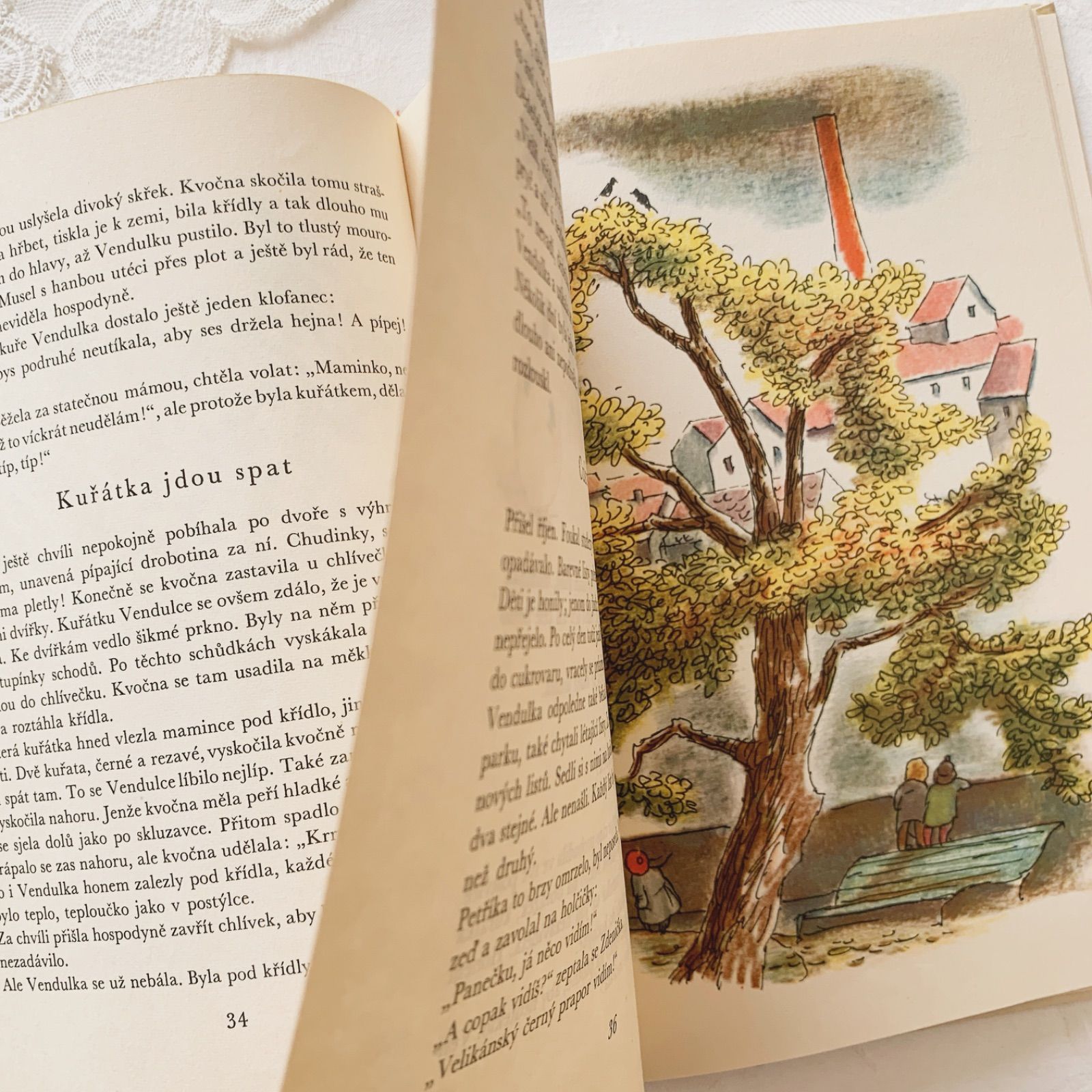 ハナフサ 超稀少1892ヴィクトリアン絵本 ヴンテージ 洋書古書 児童書 フリッツ・バウムガルテンの絵本 テディたちの学校の遠足/ビンテージ