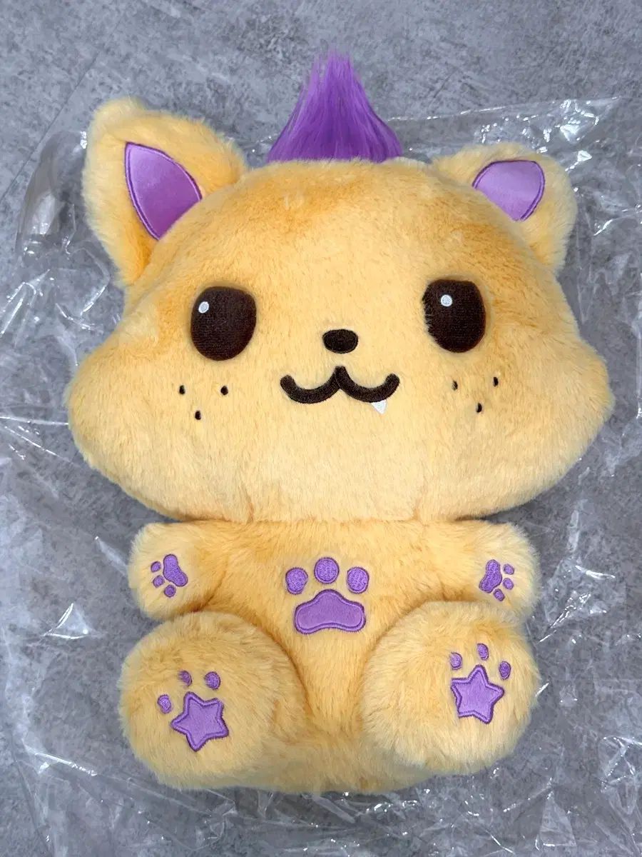 30cm あずまんが大王 WIND AND WISH ドール シオニング シオン / NCT