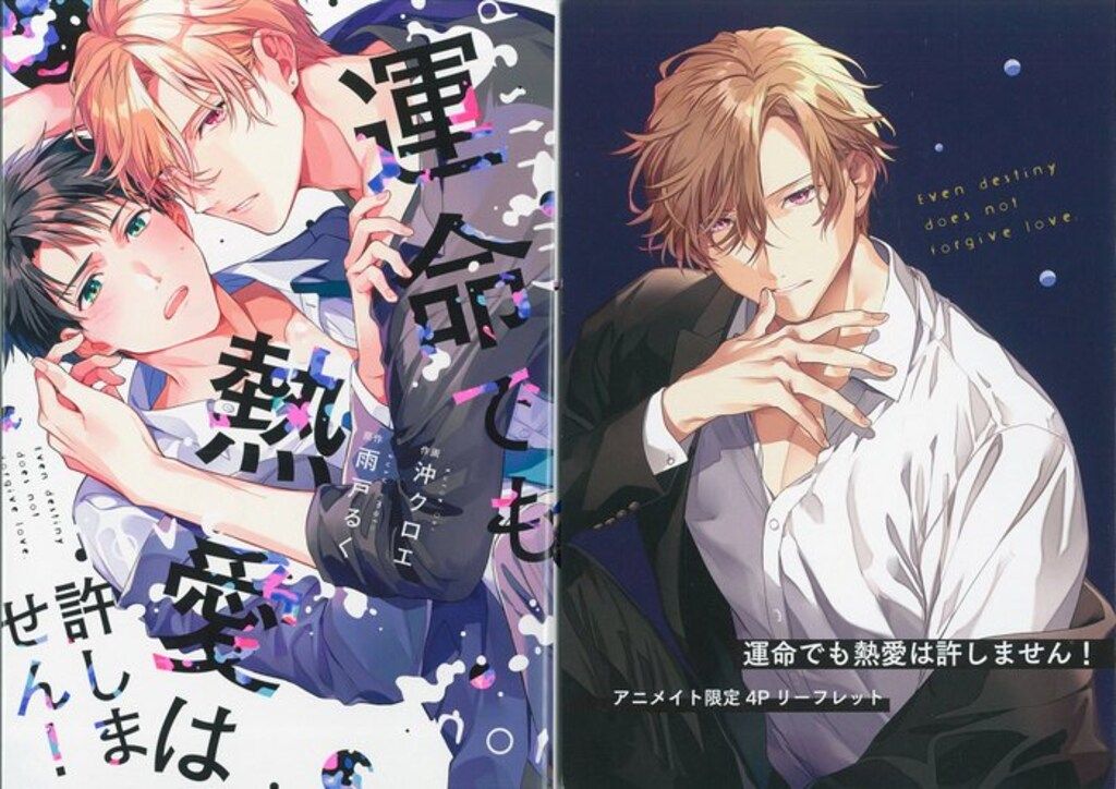 オーバーラップ リキューレコミックス 沖クロエ 運命でも熱愛は許し