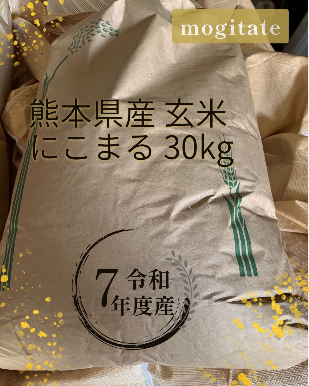 玄米 30kg 熊本県産 【公式通販】