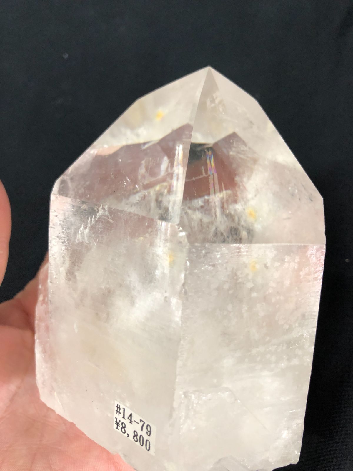 ポイントBOX|コリント産 ブラジル|G