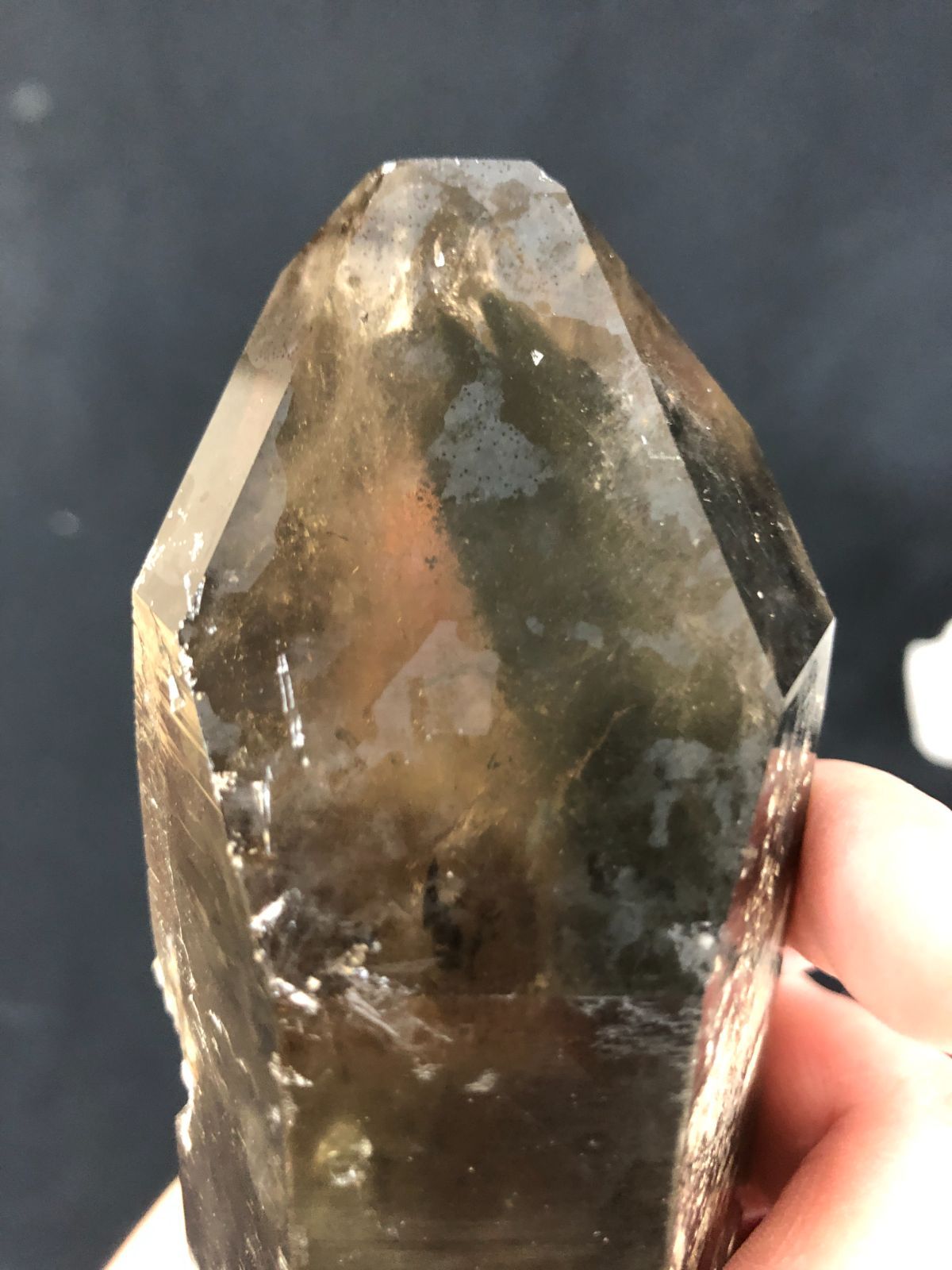 ポイントBOX|コリント産 ブラジル|G