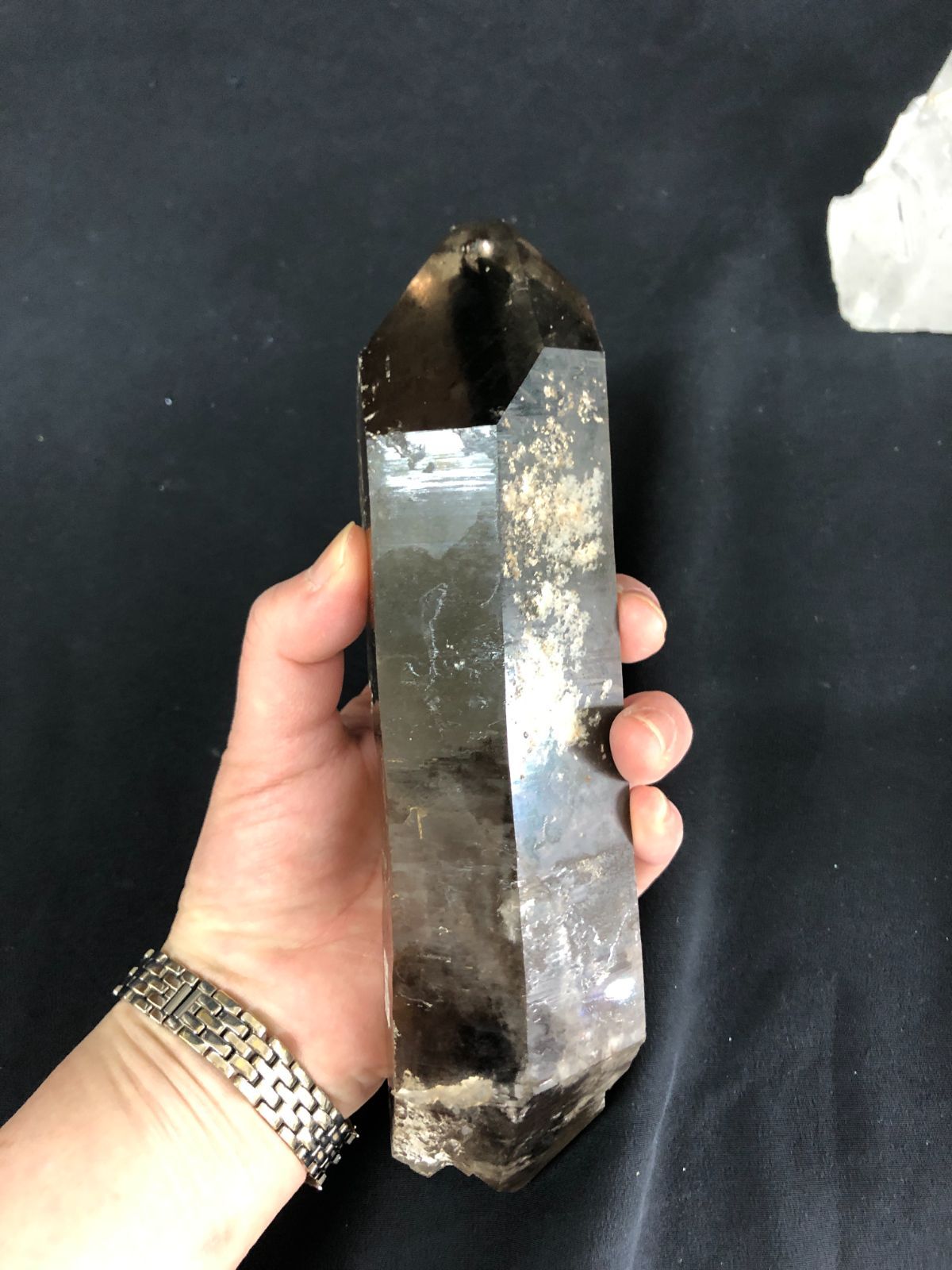 ポイントBOX|コリント産 ブラジル|G