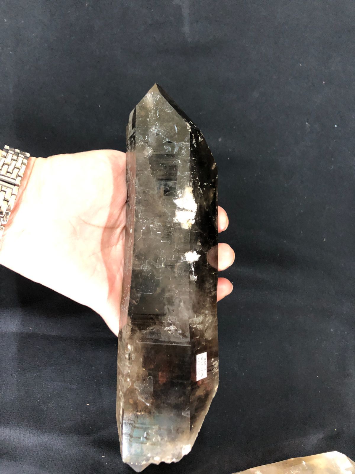 ブラジル|G VALADARES産