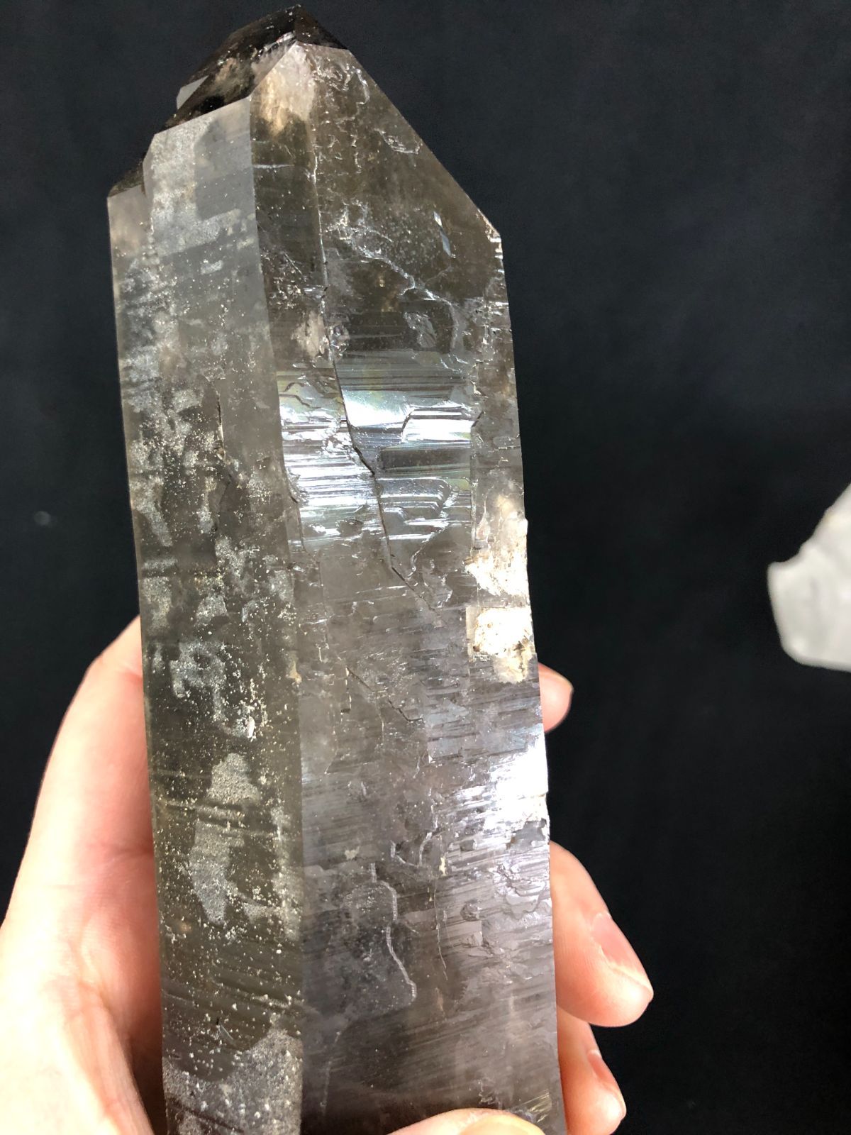 ポイントBOX|コリント産