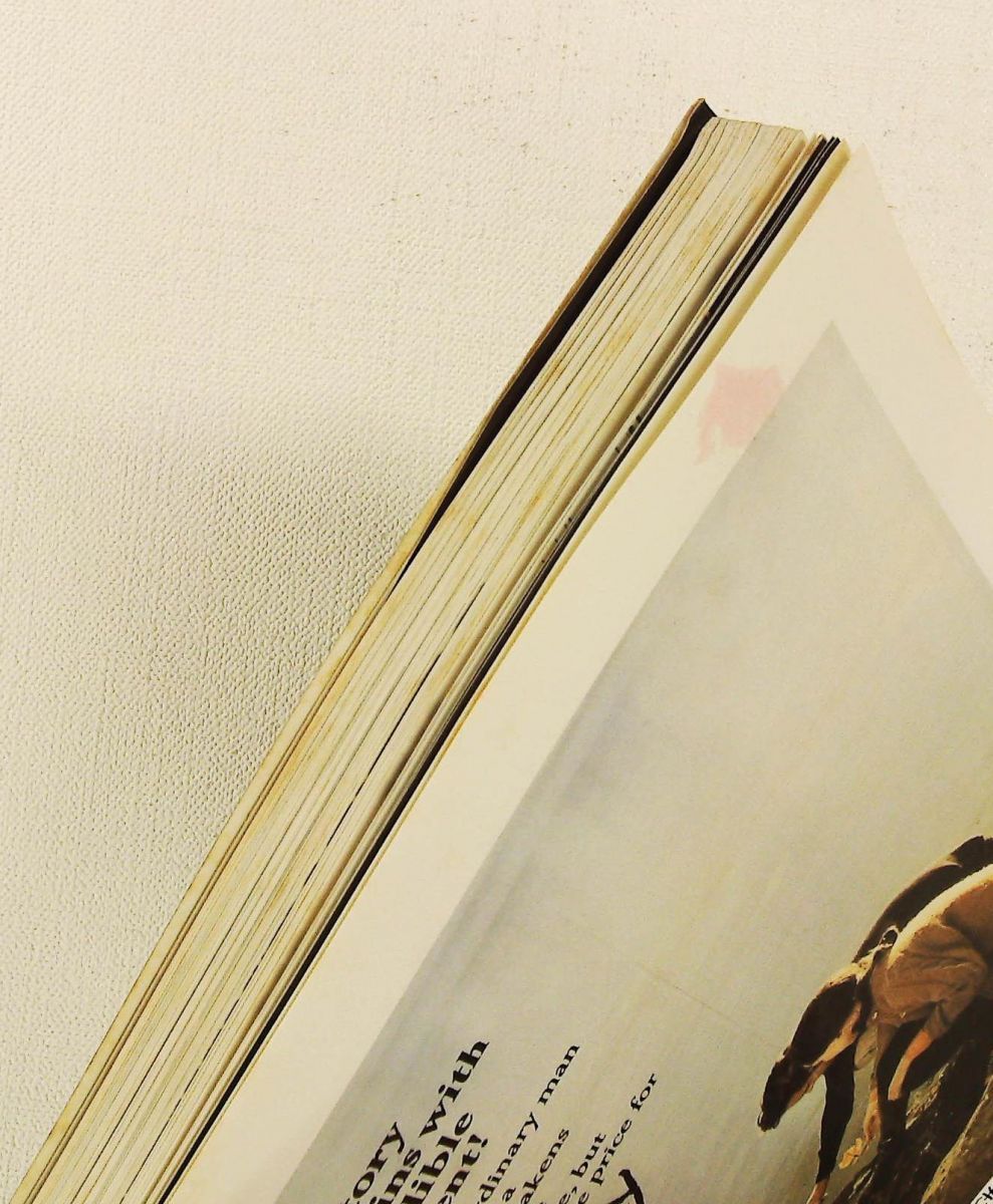 フィルム・ファンタスティック 4 1965-1969 SF・F映画テレビ大鑑 中子