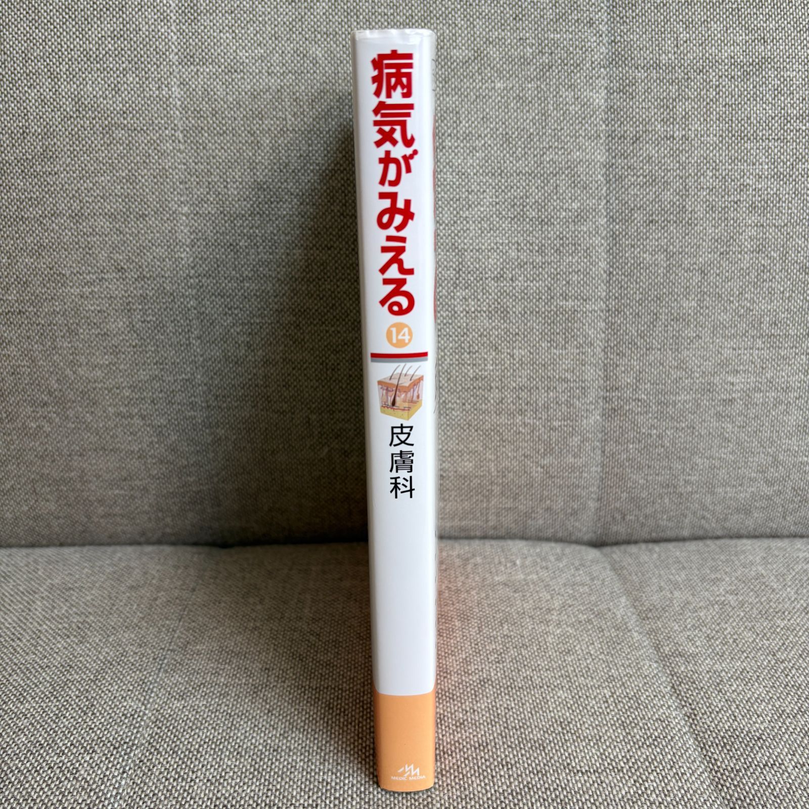 病気がみえる vol.14 皮膚科 第1版 医療情報科学研究所 （編集