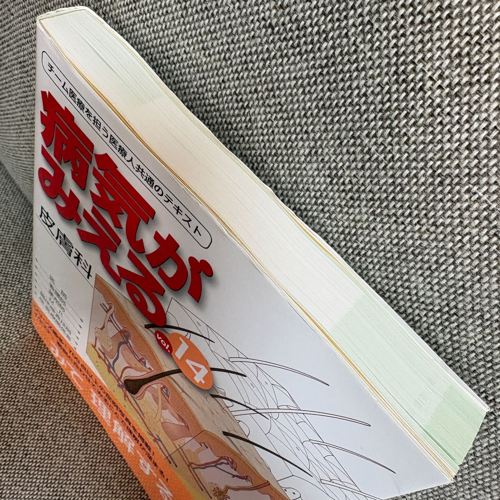 病気がみえる vol.14 皮膚科 第1版 医療情報科学研究所 （編集