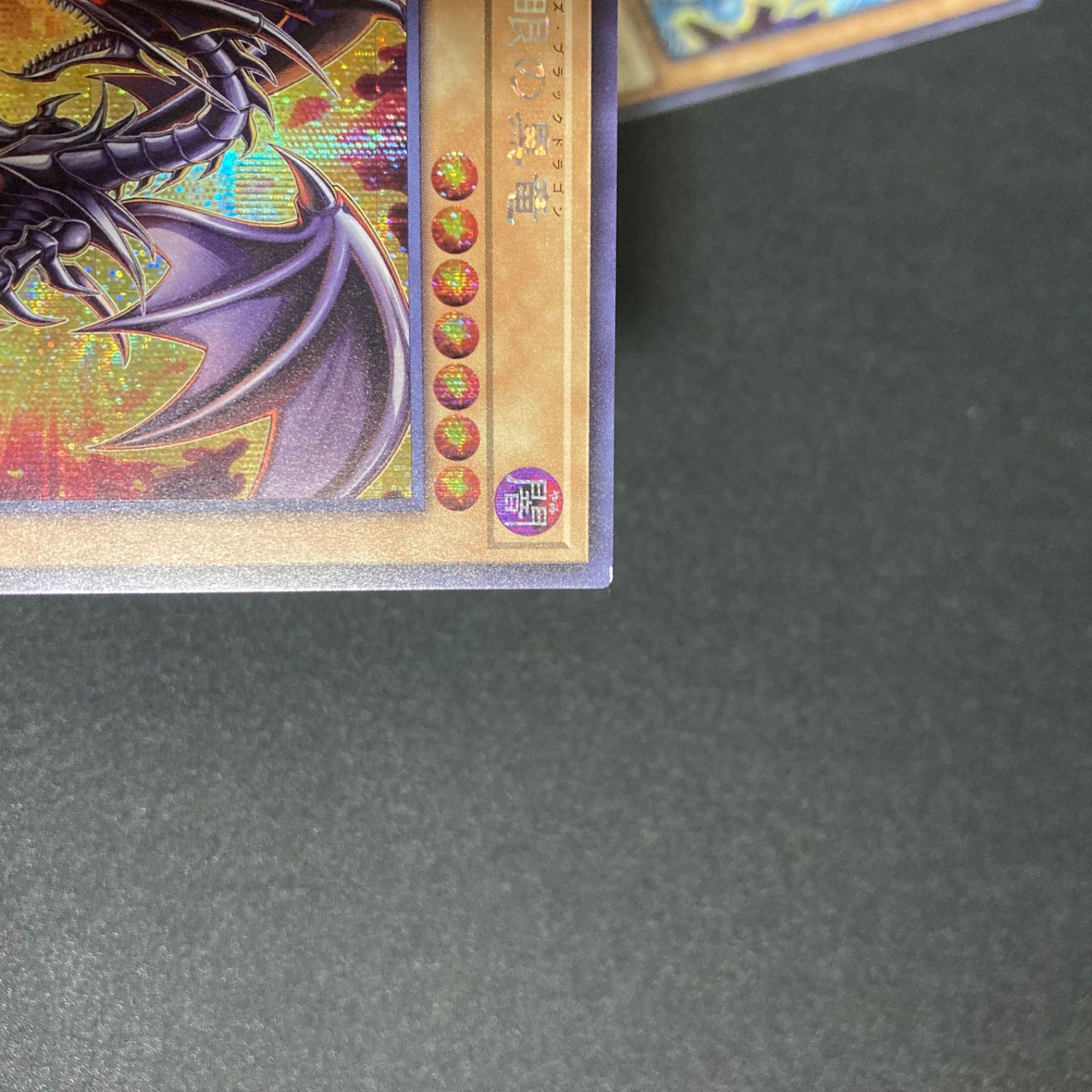 BF0224 遊戯王 OCG 原作絵 青眼の白龍 真紅眼の黒龍、ブラック