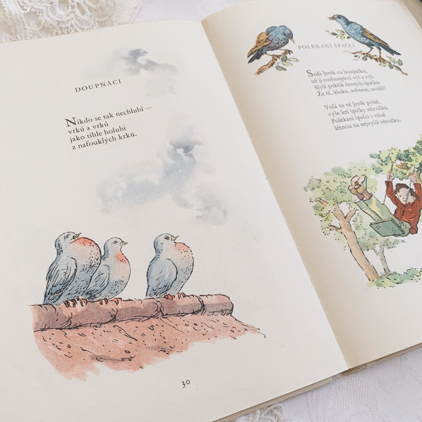 1955年 ヒヨコや小鳥たちも愛らしい チェコのヴィンテージ詩絵本 東欧