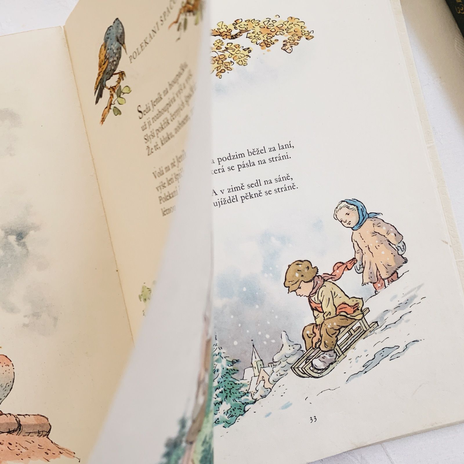 1955年 ヒヨコや小鳥たちも愛らしい チェコのヴィンテージ詩絵本 東欧