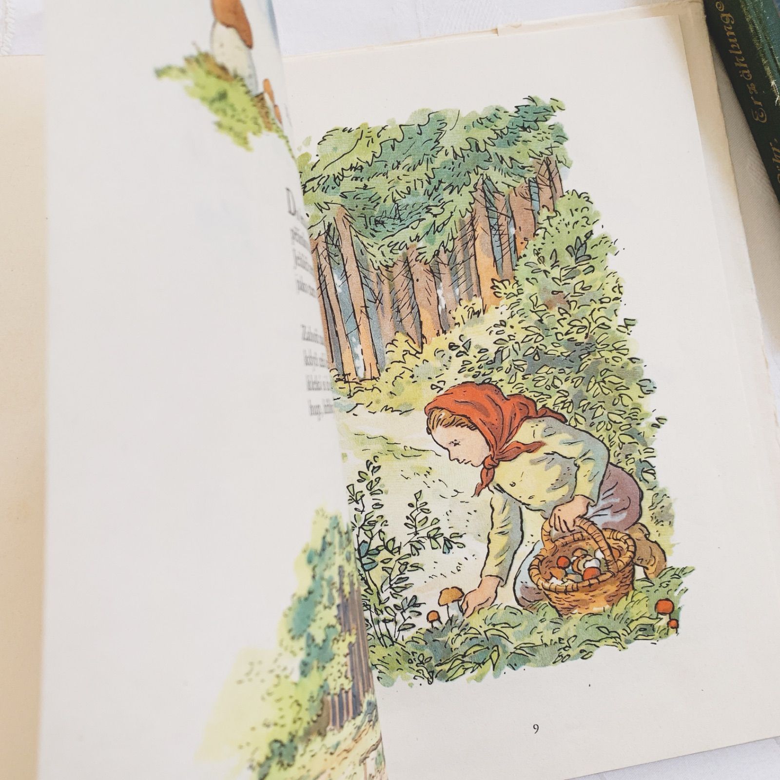 1955年 ヒヨコや小鳥たちも愛らしい チェコのヴィンテージ詩絵本 東欧