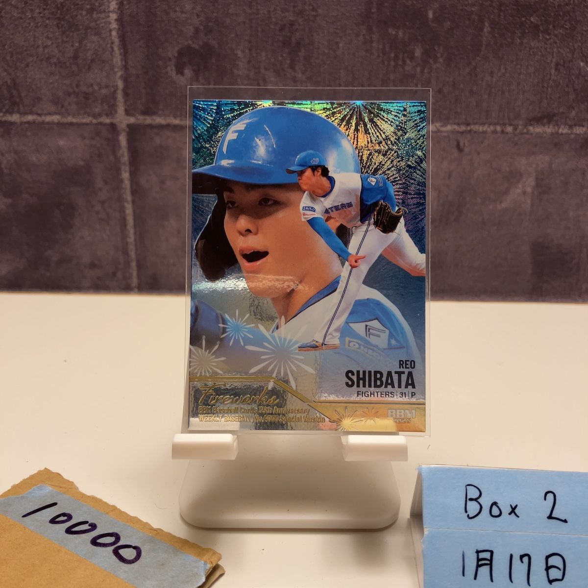 2025 BBM 柴田獅子 175/300 北海道日本ハムファイターズ 35th