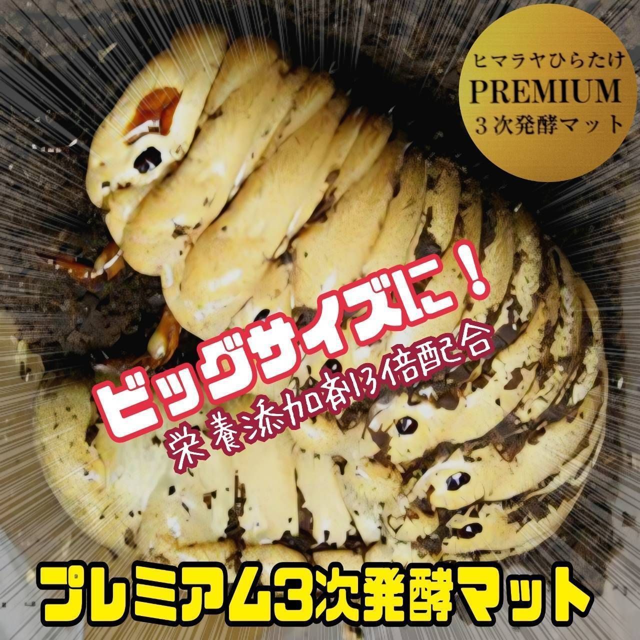 極上品！さらにグレードアップしたプレミアム3次発酵カブトムシマット