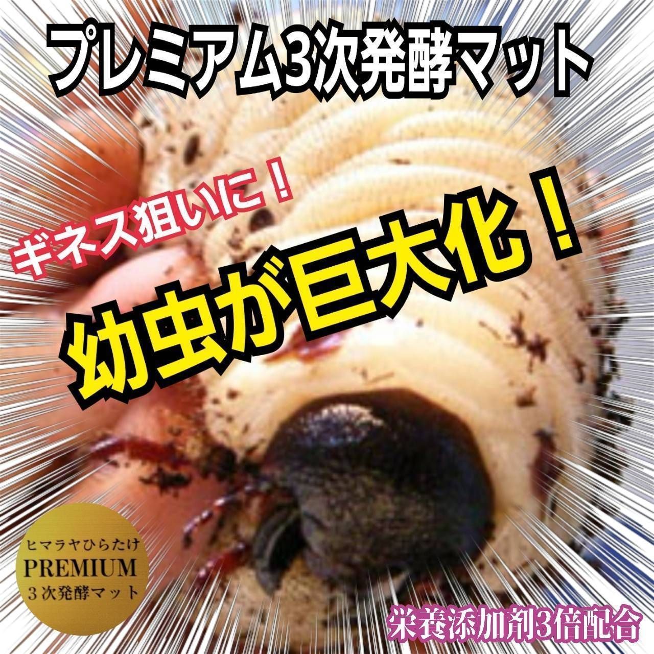 極上品！さらにグレードアップしたプレミアム3次発酵カブトムシマット